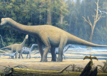 Scientists uncover dinosaur species in India that survived mass extinction