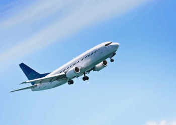 Turkish Airline to fine ‘aisle’ lice’—passengers who stand up too early on planes