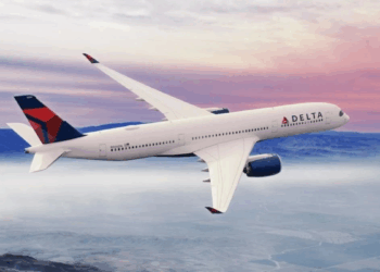 Delta flight takes 482 km detour mid-air to save passenger’s ailing dog
