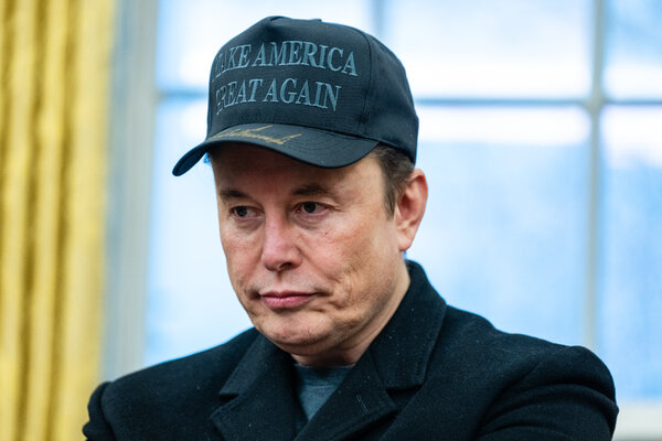 Elon 