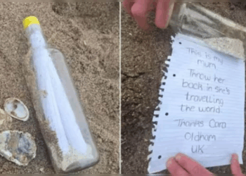 Daughter Fulfills Late Mother’s Dream By Setting Ashes Adrift In A Bottle To Travel The World