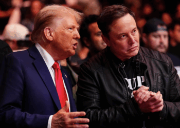 I Went Too Far’: Elon Musk Says He Regrets Some Posts He Made About Donald Trump