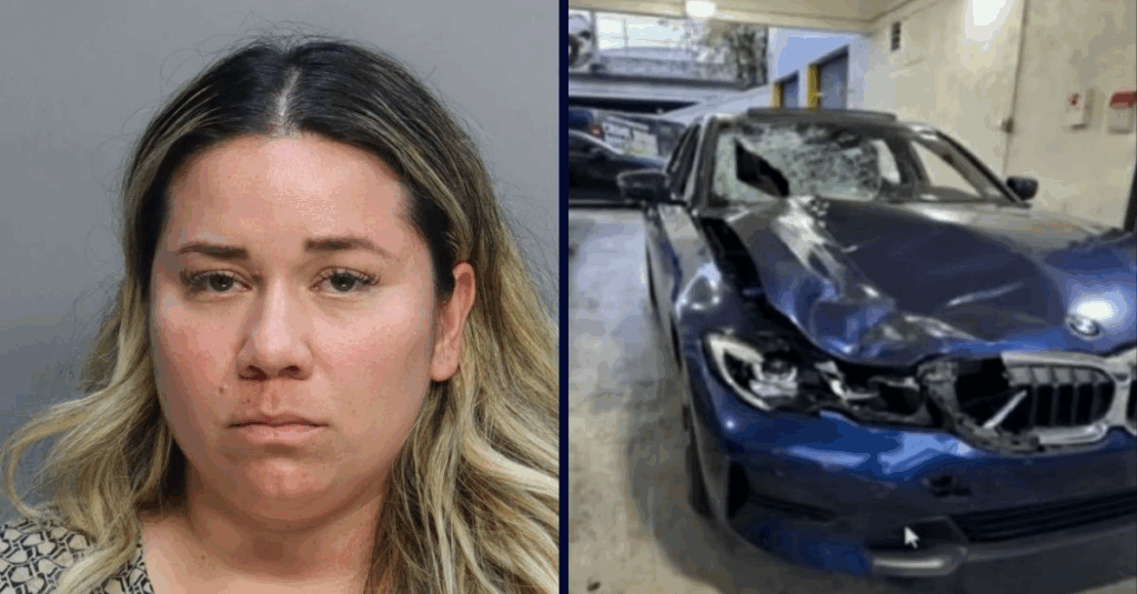 ‘Just a homeless person’: Florida BMW driver accused in hit-and-run offers shocking explanation after allegedly killing woman