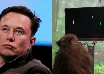 Elon Musk’s Neuralink Device Helps Monkey See Something That’s Not There