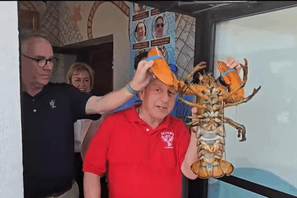 lobster