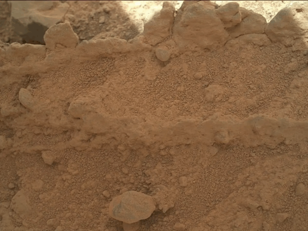 Mars Mushroom