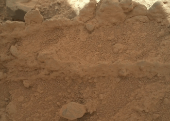 Mars Mushroom