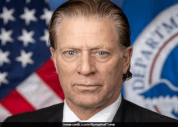 FEMA head