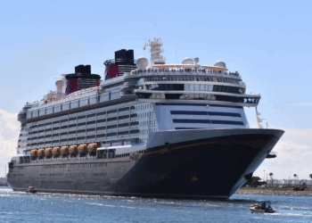 Child Falls Overboard on Disney Dream, Dad Jumps In, Both Rescued by Crew