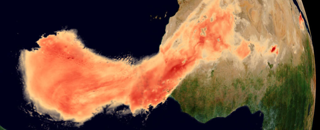 Saharan