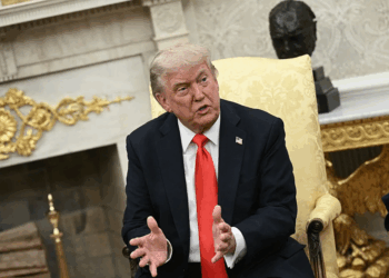 Trump says Elon Musk has ‘Trump Derangement Syndrome’: What it means