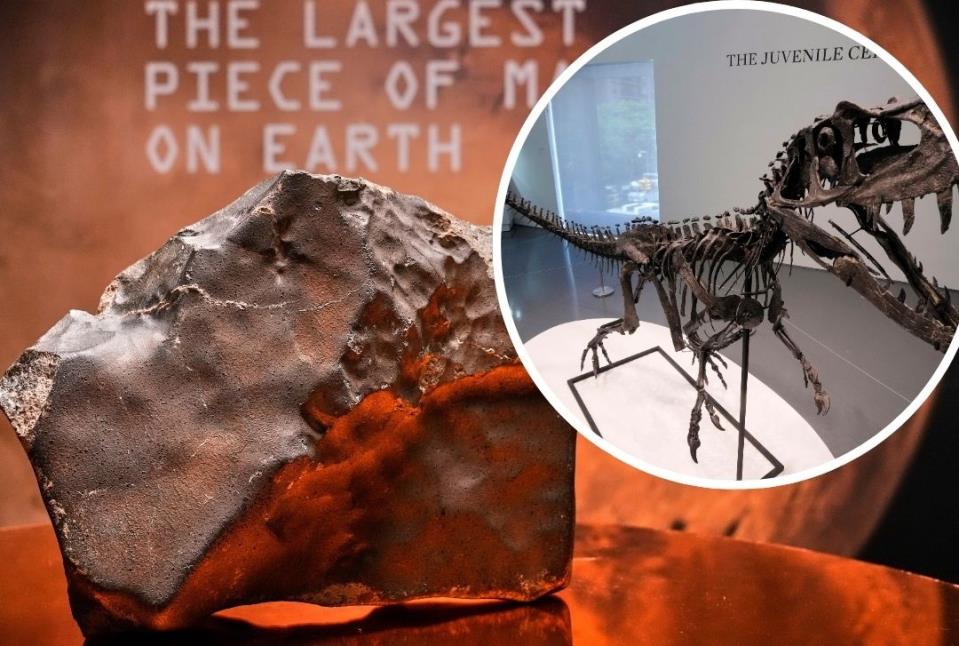 Largest Piece of Mars on Earth Sold for $5.3 Million, but $30M Dinosaur Skeleton Steals Spotlight