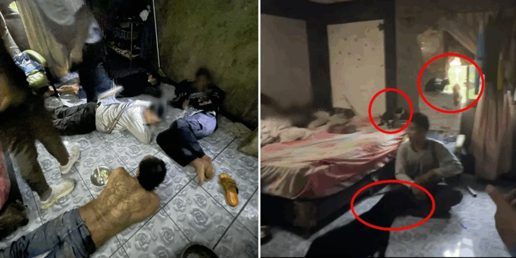Man in Thailand Arrested for Selling Meth to Feed 30 Stray Dogs and Cats