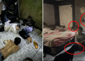 Man in Thailand Arrested for Selling Meth to Feed 30 Stray Dogs and Cats