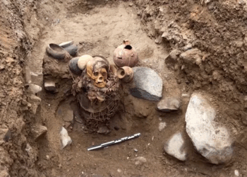 1,000-Year-Old Mummy Discovered By Gas Workers in Peru: See photos