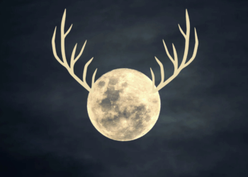 The July 2025 Buck Moon: A Deeper Look Beyond the Glow