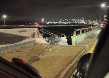 Tractor-Trailer Cab Plunges Off Delaware Memorial Bridge: What We Know and What's Next