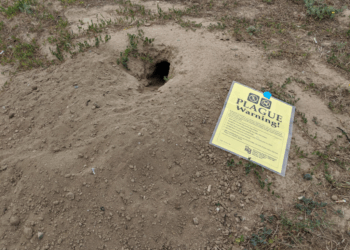 Plague Resurfaces in the US: Arizona Death Raises Concern Over Potential Spread of Black Death