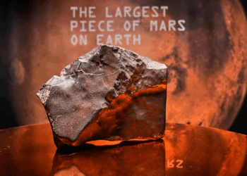 Largest Piece of Mars on Earth Heads to Auction in New York: All About It