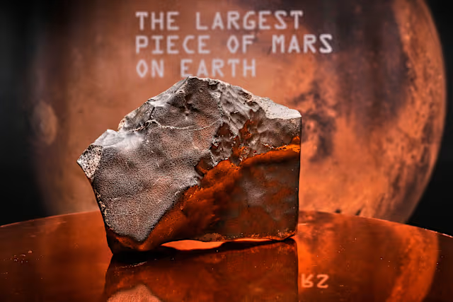 Largest Piece of Mars on Earth Heads to Auction in New York: All About It