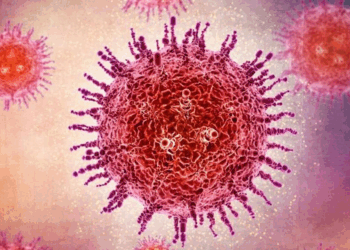 What Is the Oropouche Virus, and Could It Trigger the Next Epidemic?
