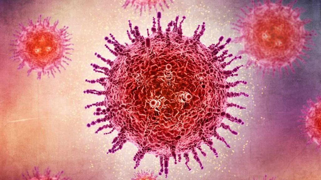 What Is the Oropouche Virus, and Could It Trigger the Next Epidemic?