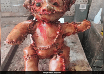 Creepy ‘Human Skin’ Teddy Bear Found on California Street Sparks Panic