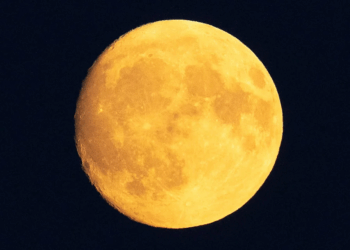 Buck Moon 2025: How and When to Watch July’s Spectacular Full Moon