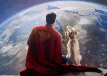 Krypto the Superdog Sparks 500% Surge in Dog Adoption Searches After Superman Release
