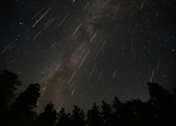 Perseid Meteor Shower 2025: When, Where, and How to Watch the Sky’s Summer Fireworks