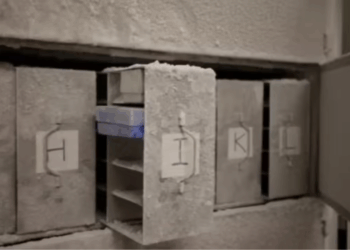 freezing human poop Microbiota Vault