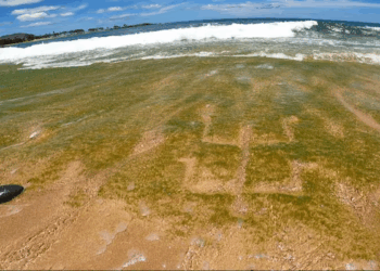 500-Year-Old Hawaiian Petroglyphs Resurface on Oahu Beach: What They Reveal About the Past and Future