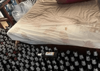 Thailand Man Dies After Drinking Only Beer For A Month: A Tragic Tale of Grief, Addiction, and Mental Health