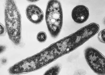 Legionnaire’s Disease Outbreak in Harlem, NYC: What It Is, Symptoms, and Safety Tips