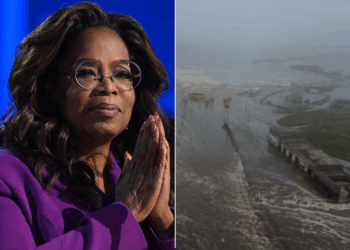 Oprah Winfrey Criticized for Not Opening Private Road Amid Hawaii Tsunami Evacuation