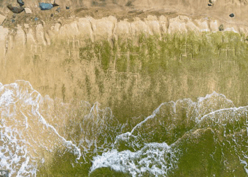 Mysterious Markings Emerge on Hawaiian Beach, Seen as Ancestral Warning