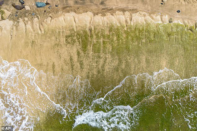 Hawaii petroglyphs: Mysterious Markings Emerge on Hawaiian Beach, Seen as Ancestral Warning