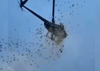 Watch: Detroit Man Makes It Rain at His Own Funeral: Helicopter Drops $5,000 and Rose Petals in Final Goodbye