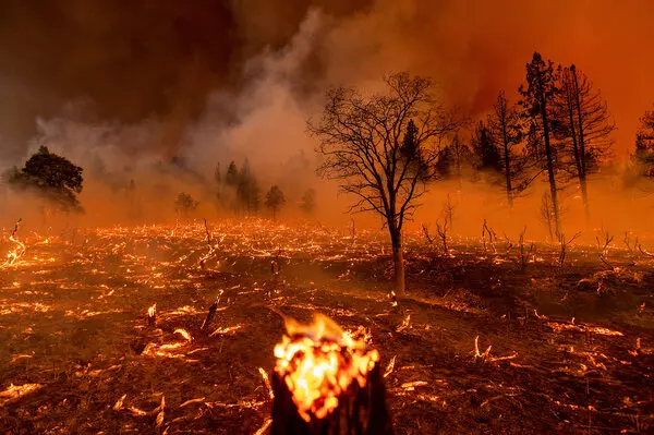 Wildfires in Spain and Portugal burn record land amid heatwave