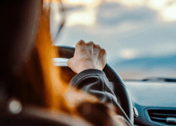 Texas Rolls Out New Driver’s License and ID Card Design With Stronger Security: All About It