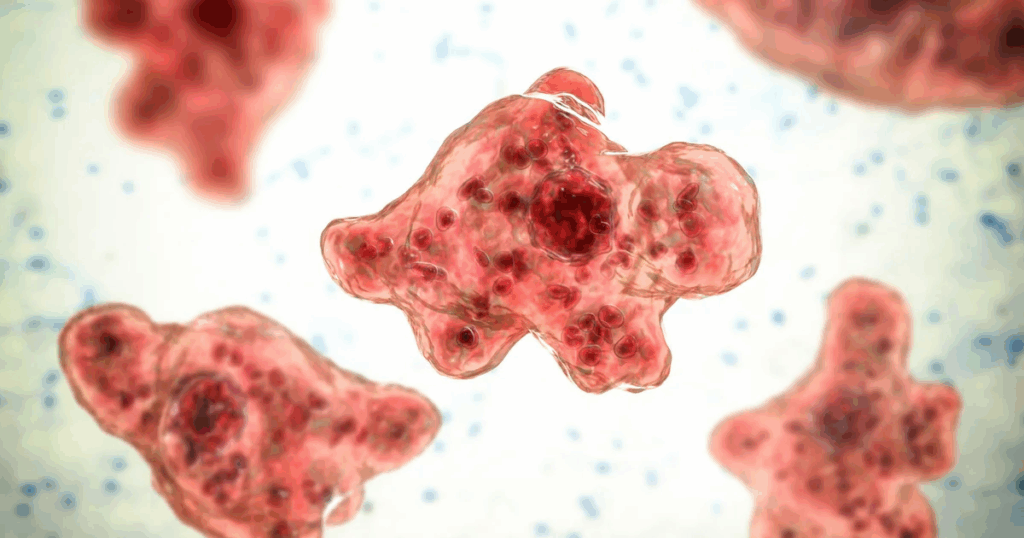 Man Dies From Rare Brain-Eating Amoeba After Water Skiing in Missouri