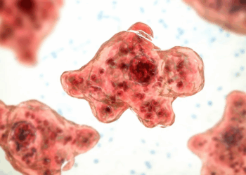Man Dies From Rare Brain-Eating Amoeba After Water Skiing in Missouri