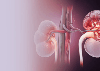 Israeli Hospital Grows Lab-Made Kidneys, Eyes Clinical Trials