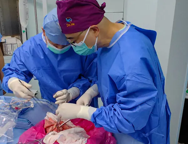 Chinese Doctors Perform World’s First Pig-to-Human Lung Transplant