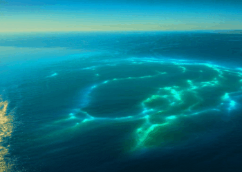 NASA Captures Mysterious Glow off Australia From Space: It Turned Out To Be Phytoplankton