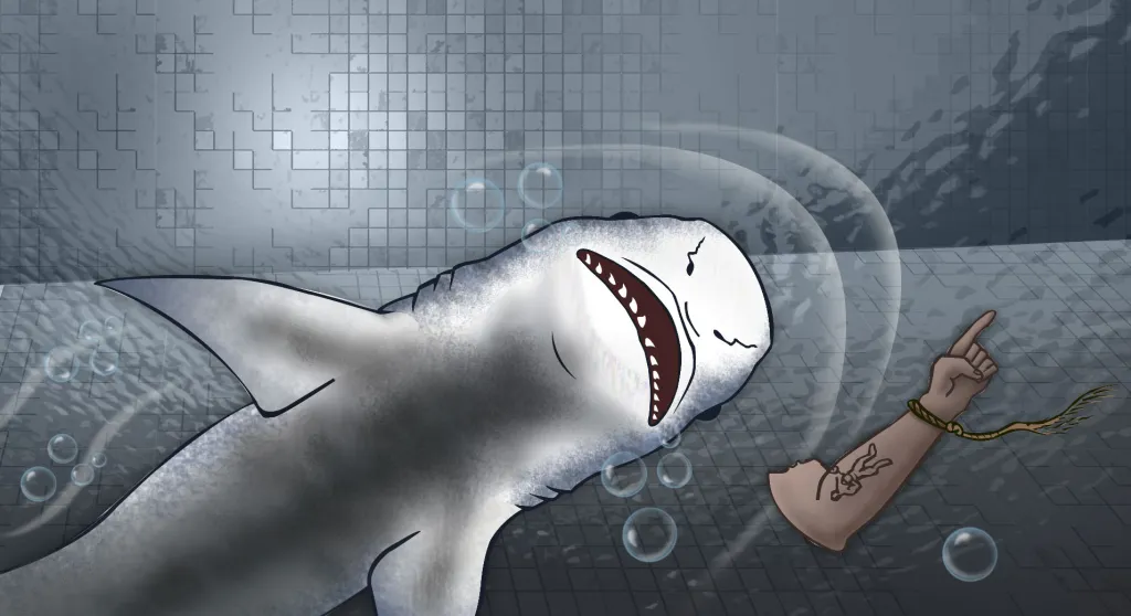 Shark spits out human arm in Sydney: The unsolved 1935 murder case