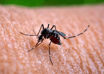 China Scrambles to Contain Chikungunya Outbreak as Cases Surge Past 7,000 in Guangdong