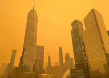 Canada Wildfire: Smoke from Canada Deteriorates New York City’s Air Quality: How To Stay Safe