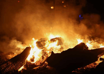 France Battles Its Largest Wildfires in Decades