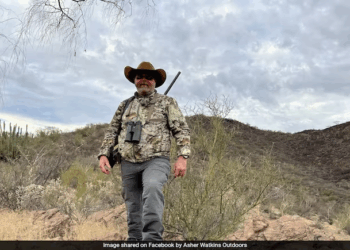 US Millionaire Gored to Death by Cape Buffalo on African Safari